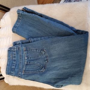 Lee, Shapetastic, Ankle Jean